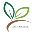 Galabau Schimmack Falkensee