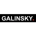 Galinsky Systemtechnik Berlin