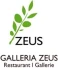 Logo Galleria Zeus
