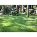 GARTEN - BUSINESS Zeuthen