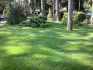 Logo GARTEN - BUSINESS