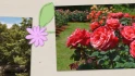Logo GARTEN-LAND WOHLHÜTER OHG
