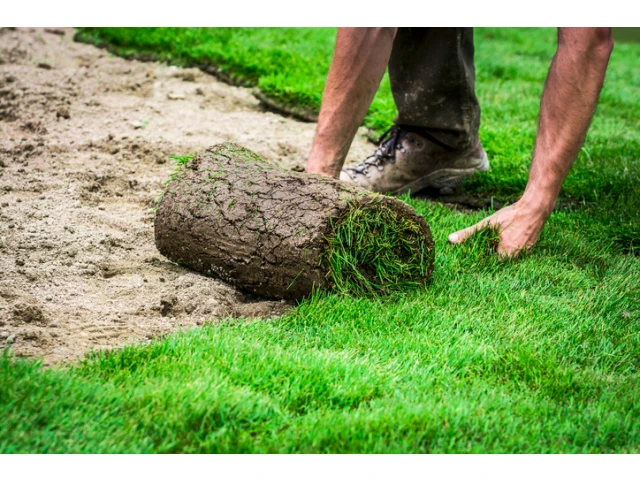 Garten Service Baur - Görisried