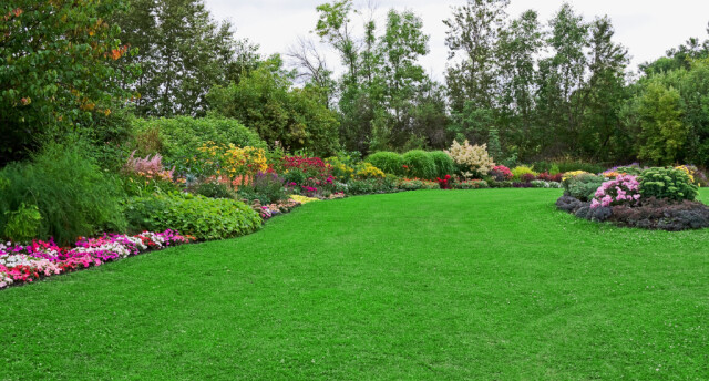 Garten Und Landschaftsbau Aridi Essen Telefon Adresse