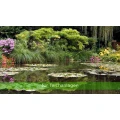 Garten- und Landschaftsbau B&ouml;hmer M&uuml;nchen