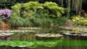 Logo Garten- und Landschaftsbau Böhmer