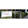Garten- und Landschaftsbau Rui Alves Steinheim an der Murr