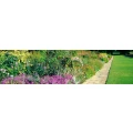 Garten- und Landschaftsgestaltung Siegmar Kluschke Wellen bei Magdeburg