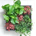 Logo Gartenatelier Green Vision