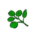 Logo Gartenbau Betonzaeune E. Kowalewski