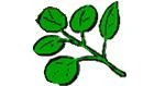 Logo Gartenbau Betonzaeune E. Kowalewski