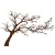 Logo Gartenbau Karlos - Inh. Markus Edem Houessou