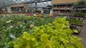 Logo Gartencenter Selbach