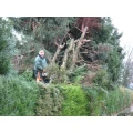 Gartendienst Gundlach Holzminden