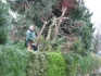 Logo Gartendienst Gundlach