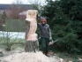 Logo Gartendienst - Hamburg Thorsten Sendrowski