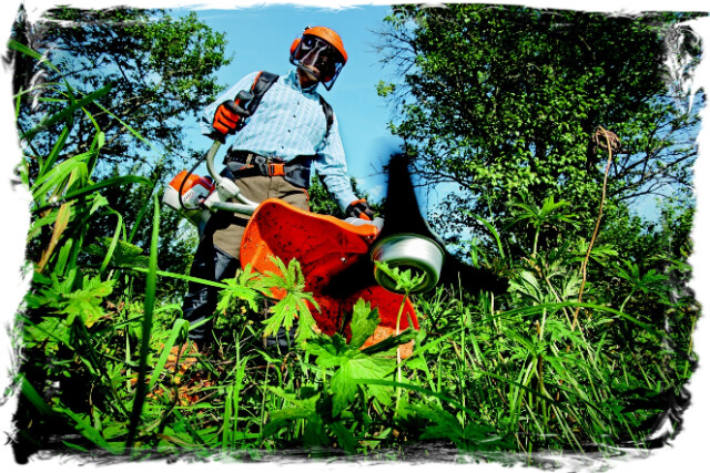 Gartengestaltung-ER Düren | Telefon | Adresse