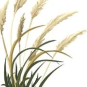 Logo Gartengestaltung Matthias Dalichow