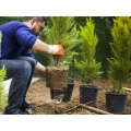 Gartengestaltung und Wegebau Patric Eckner Werder Gartengestaltung und Wegebau Patric Eckner Werder