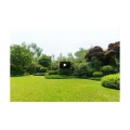 Gartenpflege Gr&uuml;ner Daumen M&uuml;nchen