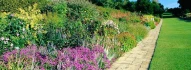 Logo Gartenpflege und Service - Thomas Schulz