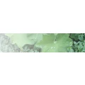 Logo Gartenplanung Barbara Rinio