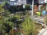 Logo Gartenplanung / Gartenberatung Dipl. Ing. (FH) Claudia Schleifer-Theis