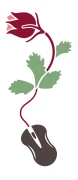 Gartenschaffer Martin Ulmer Neubulach