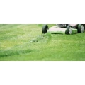 Logo Gartenservice Holl