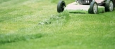 Logo Gartenservice Holl