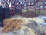 Logo Gartenservice Immergrün Karl - Ernst Ludwig