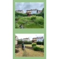 Gartenservice Schmidt Heusweiler