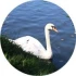 Logo Gartenstadt Immobilienberatung Inh. Tina Hensel