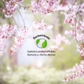 Gartentr&auml;ume Garten-Landschaftsbau Patrick Werner Bremen