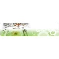 Logo Gasthaus Zum Dorfkrug