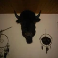 Logo Gastst&auml;tte Bison-Ranch
