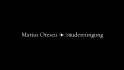 Logo Gebäudereinigung Marius Otescu
