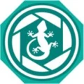 Logo Gecko - Cam GmbH