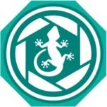 Logo Gecko - Cam GmbH