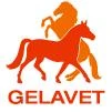 Logo GELAVET GmbH