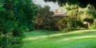 Logo Gelber Stern Sari Birol Gartenbauservice