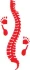 Logo Gemeinschaftspraxis Dres. Holger Schröder und Holger Schwarz