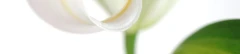 Logo Gemeinschaftspraxis Dres.Julia Hedrich und Hans M.Hedrich Frauenärzte