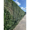 Geoforma Gartenpflege GmbH K&ouml;ln