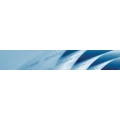 Logo Krebbers, Georg