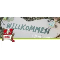 Logo Steinle, Georg