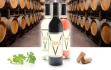 Logo Gerhard Veith Weingut Andrea Fillips-Veith