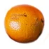 Logo Geschäftsführer Herr Thomas Gross Orangerie Berlin GmbH