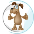 Gesund auf vier Pfoten Physiotherapie f&uuml;r Hunde Sandra H&ouml;fer Andernach