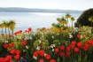 Logo Gesundheitspraxis habi-Naturgesetze Hans Binder